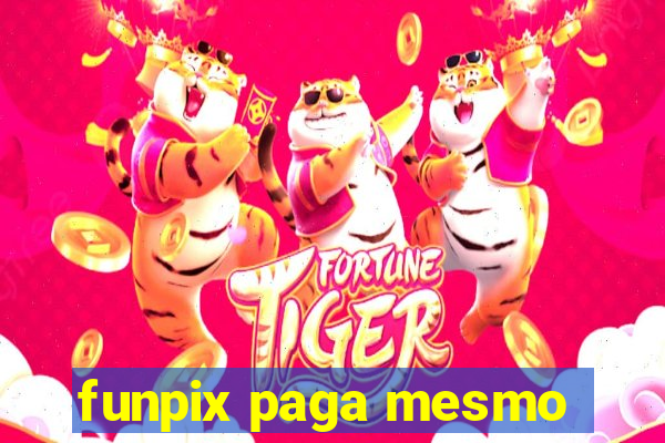 funpix paga mesmo